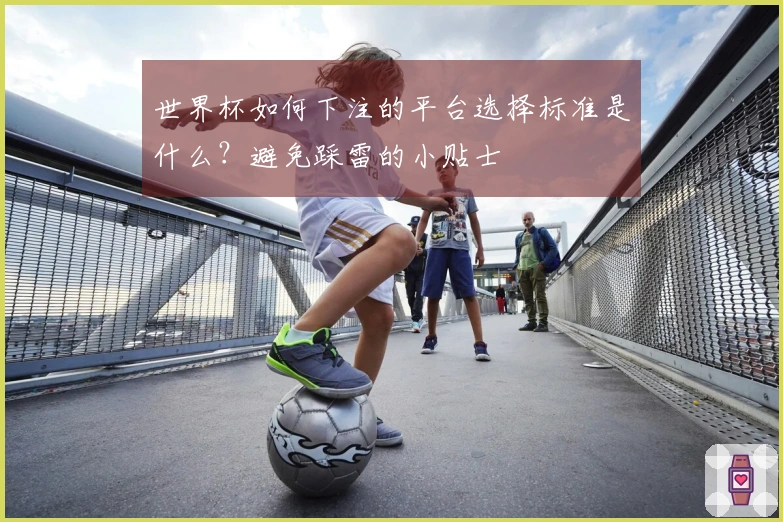 世界杯如何下注的平台选择标准是什么？避免踩雷的小贴士