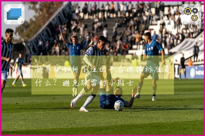 世界杯如何下注的平台选择标准是什么？避免踩雷的小贴士